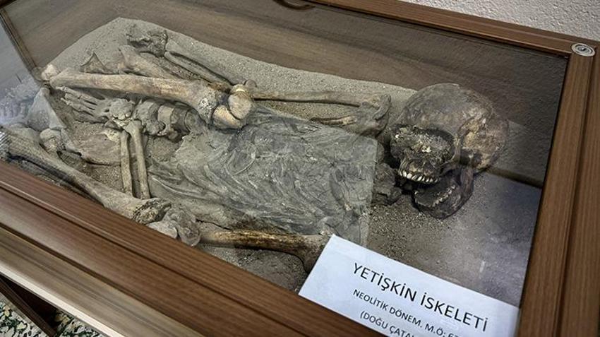Önden bakınca hayvan, yandan insan: Binlerce yıllık yüz ilk kez sergileniyor