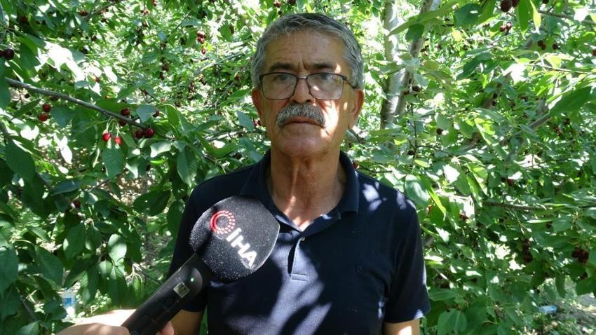 Kilosu 150 TL'yi gördü! Dalından kapış kapış gidiyor: Rekolte üreticiyi sevindirdi