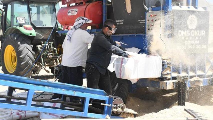 Tarlalarda bırakılanlar onlar için ekmek kapısı oldu! 6 ay çalışıp Türkiye'nin dört bir yanına satıyorlar