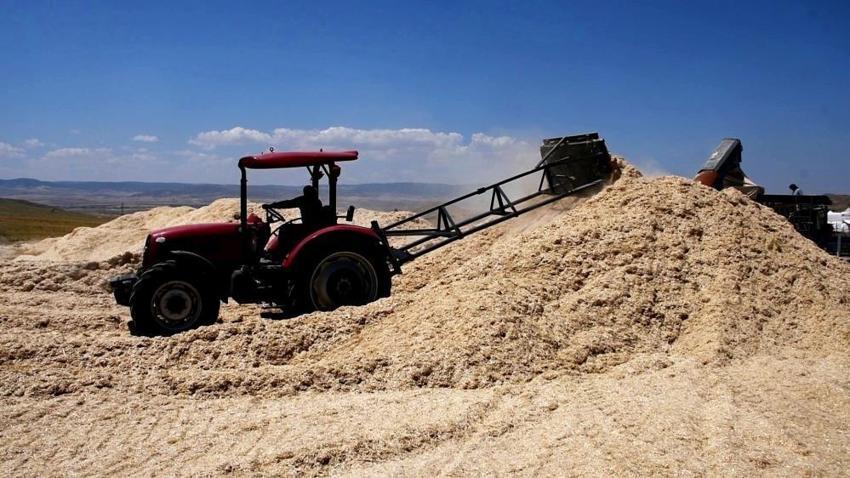 Tarlalarda bırakılanlar onlar için ekmek kapısı oldu! 6 ay çalışıp Türkiye'nin dört bir yanına satıyorlar