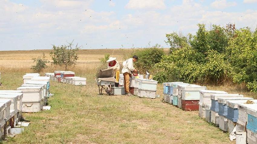 16 yıldır bu işi ailece yapıyorlar, doğum günlerini bile burada kutluyorlar: Son durak Edirne oldu!