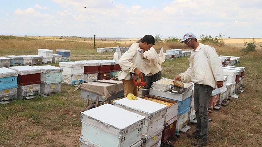 16 yıldır bu işi ailece yapıyorlar, doğum günlerini bile burada kutluyorlar: Son durak Edirne oldu!
