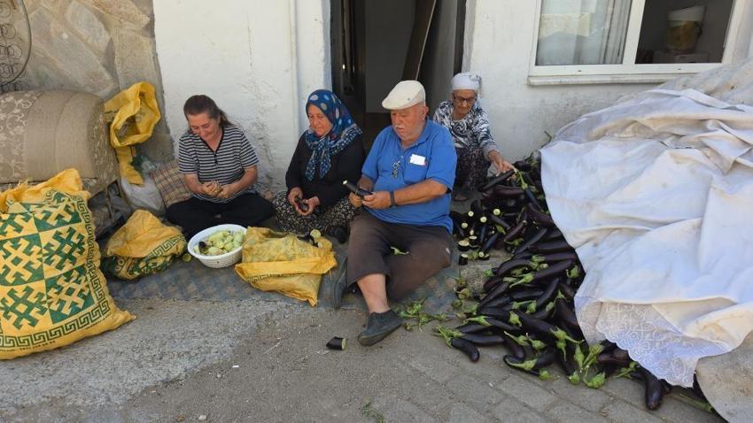 Pazarda satamadığı patlıcanla servet oluşturdu! 15 ülkeye ihracat yapmaya başladı: 6 bin kişiye istihdam sağlıyor
