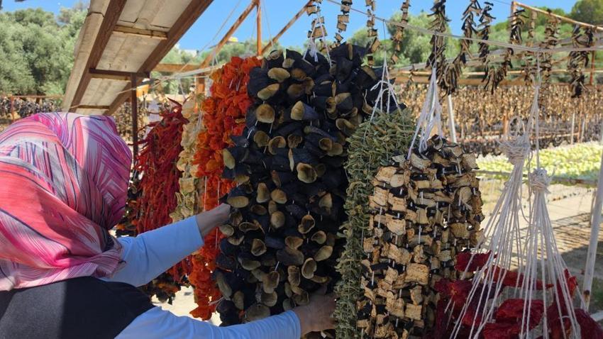 Pazarda satamadığı patlıcanla servet oluşturdu! 15 ülkeye ihracat yapmaya başladı: 6 bin kişiye istihdam sağlıyor