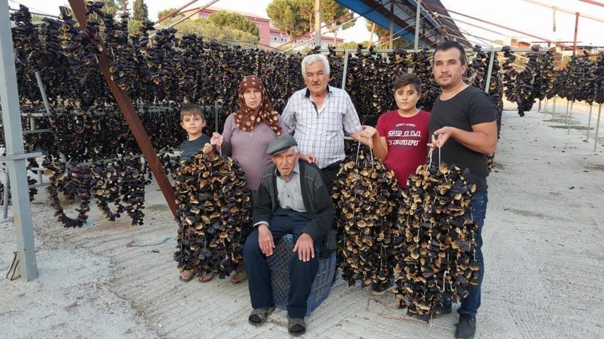Pazarda satamadığı patlıcanla servet oluşturdu! 15 ülkeye ihracat yapmaya başladı: 6 bin kişiye istihdam sağlıyor