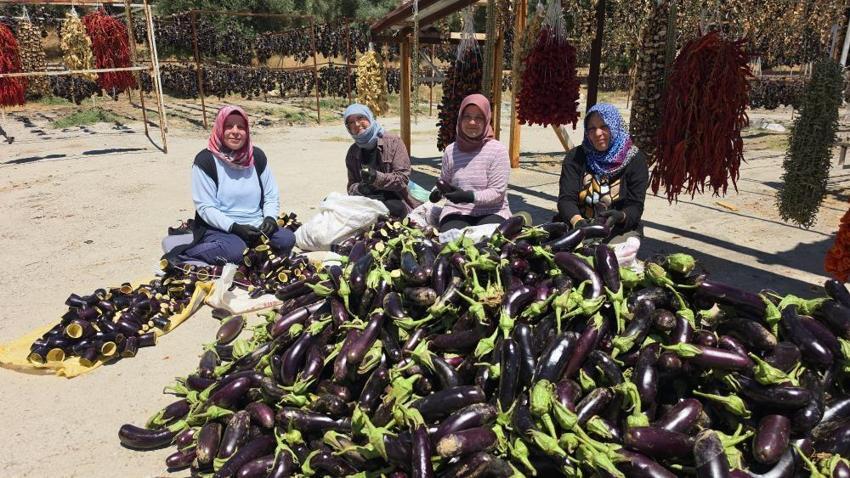 Pazarda satamadığı patlıcanla servet oluşturdu! 15 ülkeye ihracat yapmaya başladı: 6 bin kişiye istihdam sağlıyor