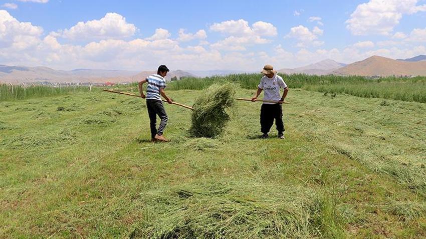 Van'da yağışlar çiftçinin yüzünü güldürdü! Verim ikiye katlanacak