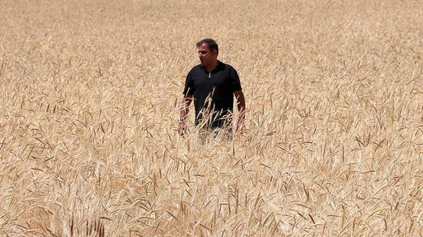 Van'da yağışlar çiftçinin yüzünü güldürdü! Verim ikiye katlanacak