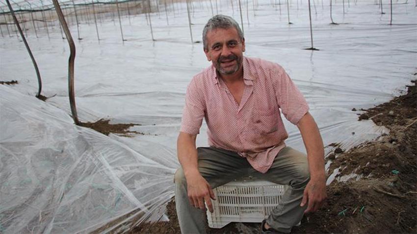 35 yıldır uygulanıyor, kimyasala taş çıkartıyor: Seraların "gizli gücü" sahada!