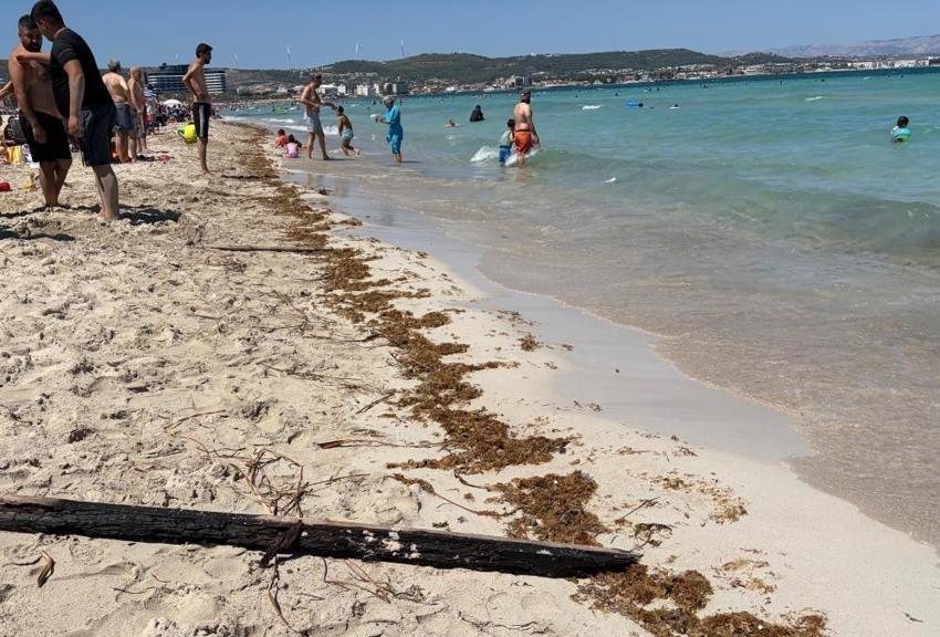Çeşme bu yıl kirlilikten geçilmiyor: Tatilcilerden unutulmaz tepki