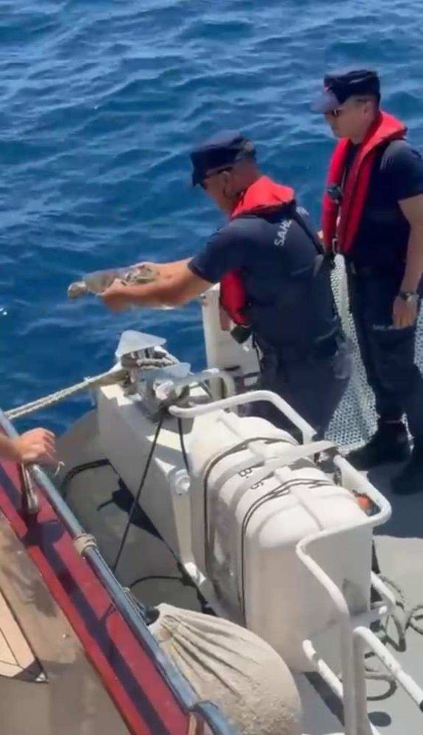 Antalya'da tekne kaptanından hayati dokunuş: Çuvala dolanmış halde bulundu