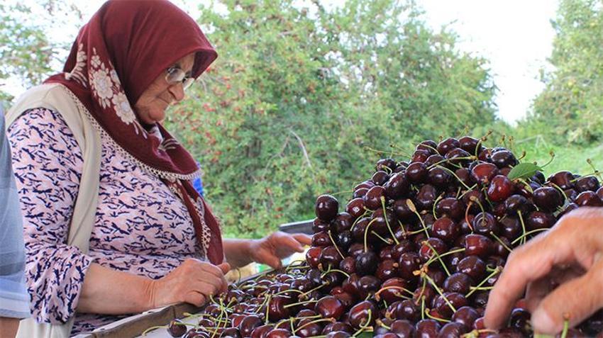 Batı’nın smoothie çılgınlığı Bursa'ya tarihi rekoru getirdi! Aroma farkı dev pazarların kapısını açtı