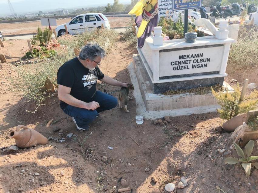 Aydın'ın kedileri vefalı çıktı: Mezarın başından ayrılmıyor