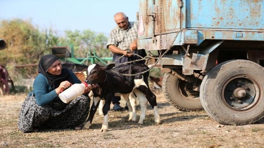 Adana'da yüz binde bir görüldü: 40 yıl uğraştığı iş hayatının sürprizini getirdi