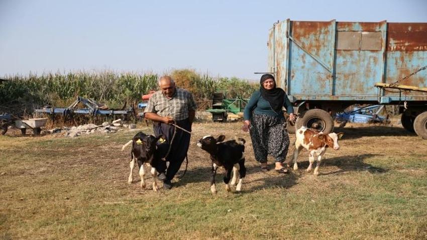 Adana'da yüz binde bir görüldü: 40 yıl uğraştığı iş hayatının sürprizini getirdi