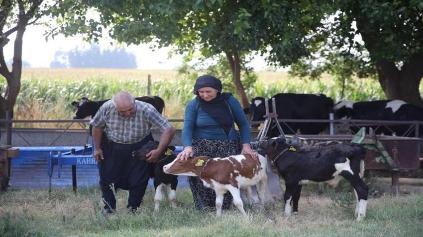 Adana'da yüz binde bir görüldü: 40 yıl uğraştığı iş hayatının sürprizini getirdi