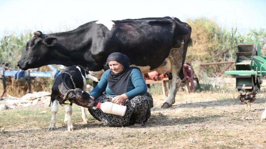 Adana'da yüz binde bir görüldü: 40 yıl uğraştığı iş hayatının sürprizini getirdi