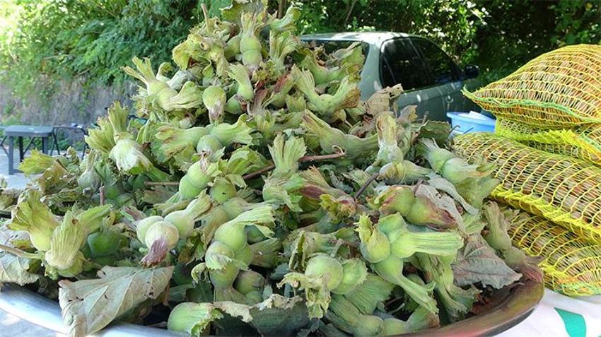 Fiyatı üretici belirledi! Kilosu 200 TL'den kapış kapış gidiyor