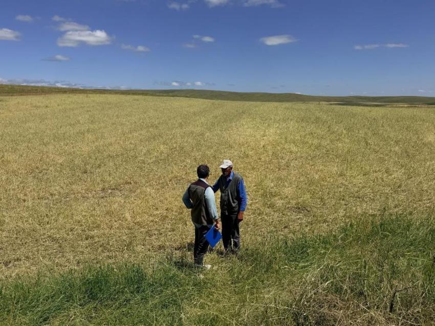 Kars'ta afet sonrası ekipler teyakkuzda! Tarlalarda hasar tespiti sürüyor, tüm imkanlar seferber ediliyor