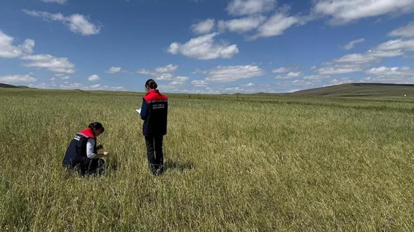 Kars'ta afet sonrası ekipler teyakkuzda! Tarlalarda hasar tespiti sürüyor, tüm imkanlar seferber ediliyor