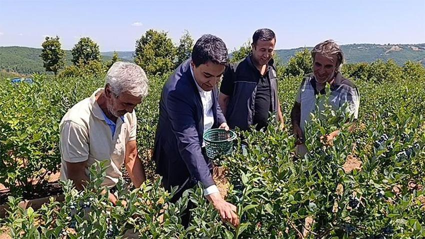 Paranın yarısı devletten geldi! Çorak arazi servet bastı