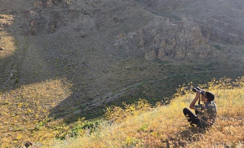 Van'ın saklı cennetine doğa gözlemcileri akın ediyor: Yaban hayatı göz kamaştırıyor