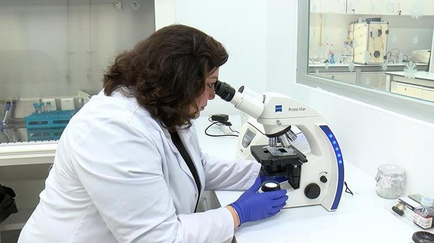 Şeker hastalığında çığır açan yerli buluş! Arı sütünden uzuv kayıplarını önleyen yerli jel geliştiriliyor: Yaranın üzerine sürüldüğü an onarıma başlayacak!