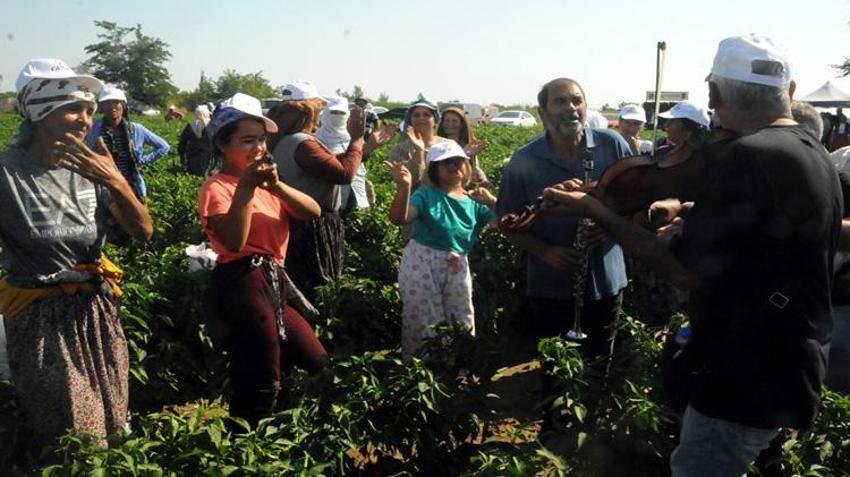 Sadece Edirne'de yetişiyor! Talebe yetişemiyorlar, büyük marketler sıraya girdi