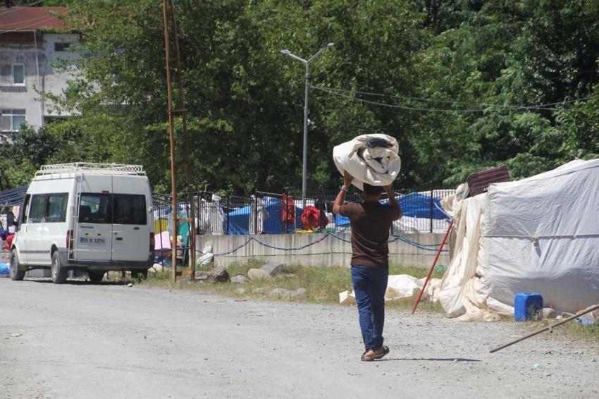 Ekmek parası için yüzlerce kilometre yol geldiler! Ordu'da hasat hazırlığı başladı