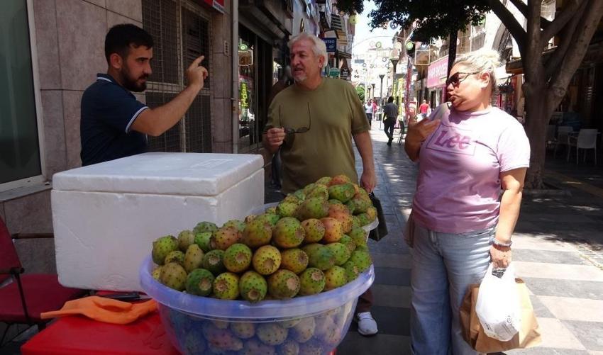 Mersin'in şöhretlisi tezgaha indi: Akdeniz'de kendiliğinden yetişip 20 liraya alıcı buluyor