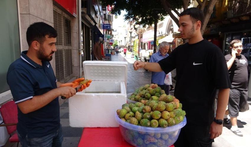 Mersin'in şöhretlisi tezgaha indi: Akdeniz'de kendiliğinden yetişip 20 liraya alıcı buluyor