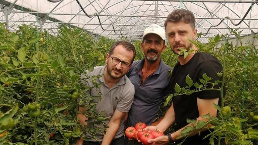 Kocaeli'de üreticiye çifte destek! Hem yüzde 50 hibe hem de saha takibi