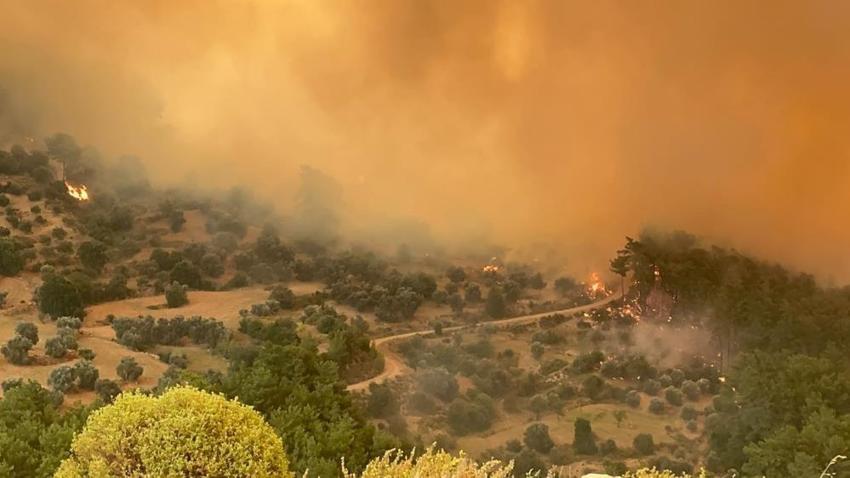 Muğla'da orman yangını! Alevler büyüyor, Fethiye-Antalya karayolu ulaşıma kapandı