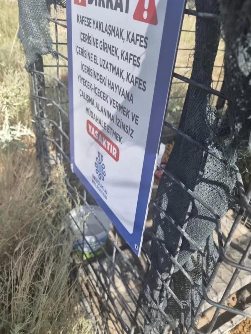 Konya’da sokak köpekleriyle mücadelede yeni dönem! Kafesler kuruldu