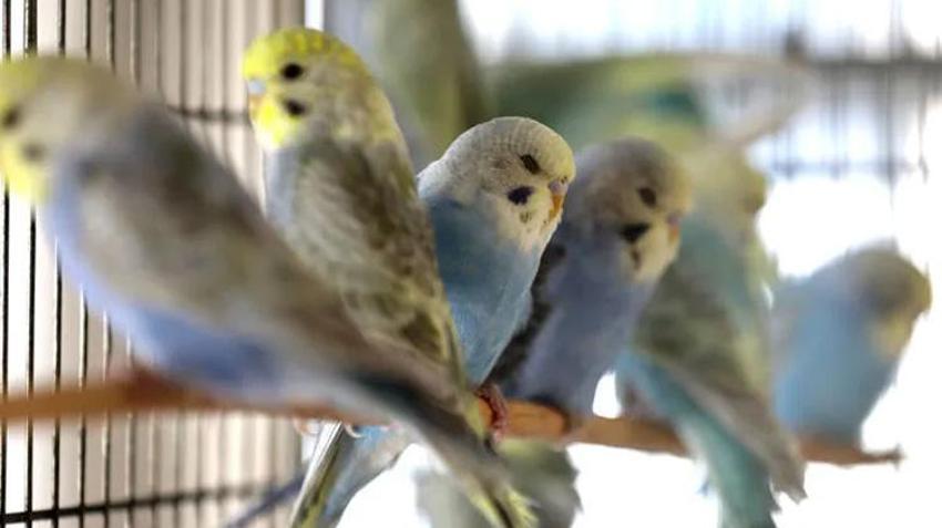 İlk kez denedi, beklediğinden fazlasını aldı! Alternatif ürün yüzünü güldürdü
