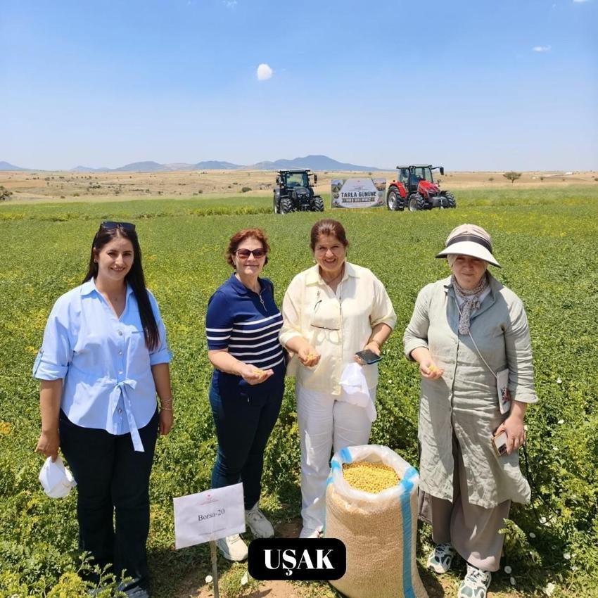 Denizli’nin yeni nohut çeşidi diğer bölge illerinde de yüksek verim verdi