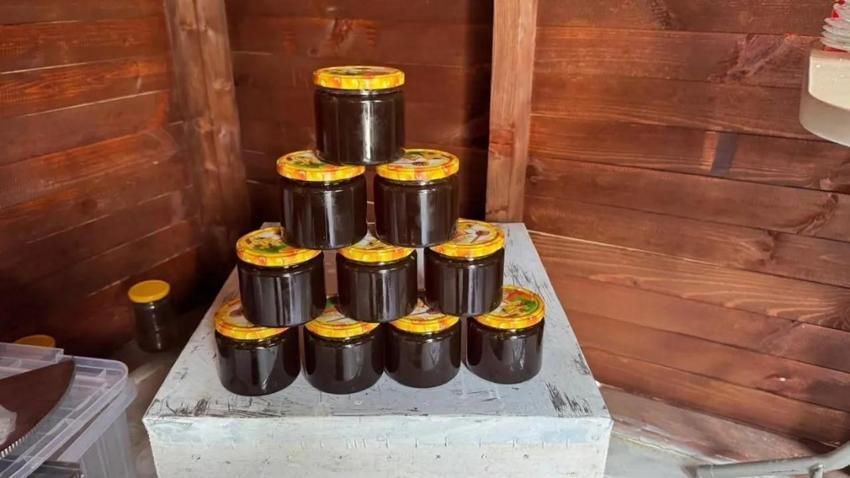 Sinop'ta hayata geçirilen proje ilk meyvesini verdi