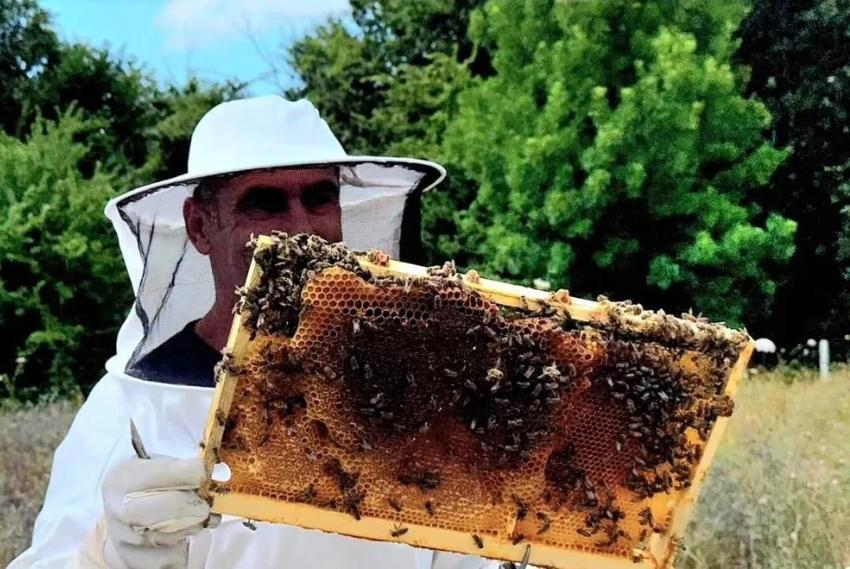 Sinop'ta hayata geçirilen proje ilk meyvesini verdi