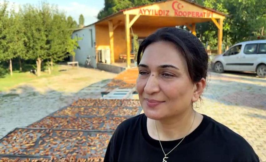 Kayısıları doğal yöntemlerle güneşte kurutarak ekonomiye kazandırıyor