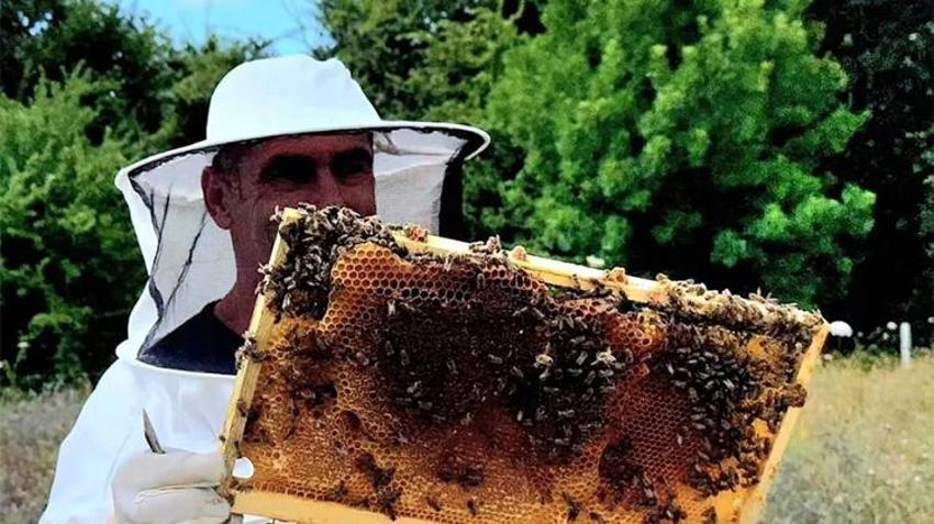 Kovanlar doldu taştı, Sinop’ta bal bereketi patladı: İlk hasatta yüzler gülüyor!