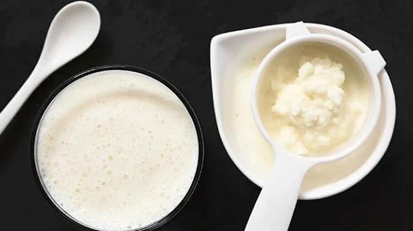 Yoğurt mu, kefir mi? Bağırsaklar için hangisi daha faydalı? Bilimin cevabı sizi şaşırtacak
