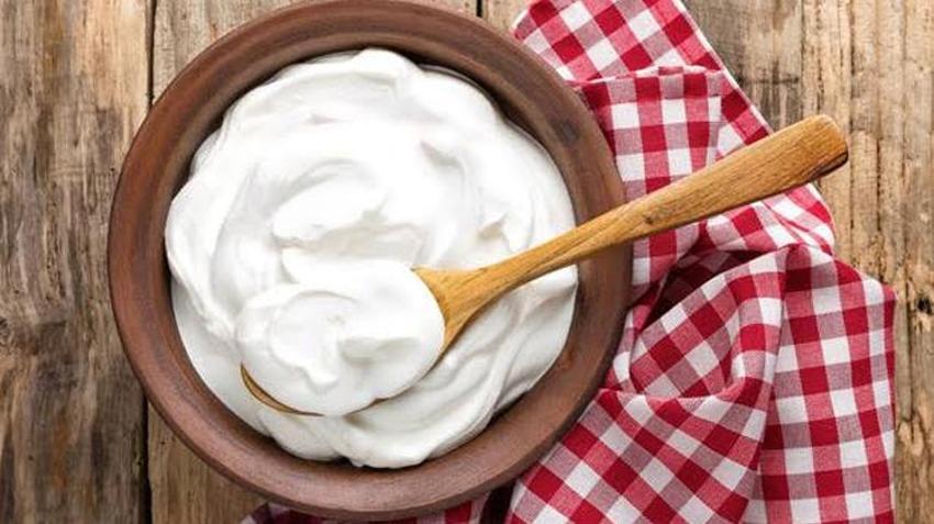 Yoğurt mu, kefir mi? Bağırsaklar için hangisi daha faydalı? Bilimin cevabı sizi şaşırtacak