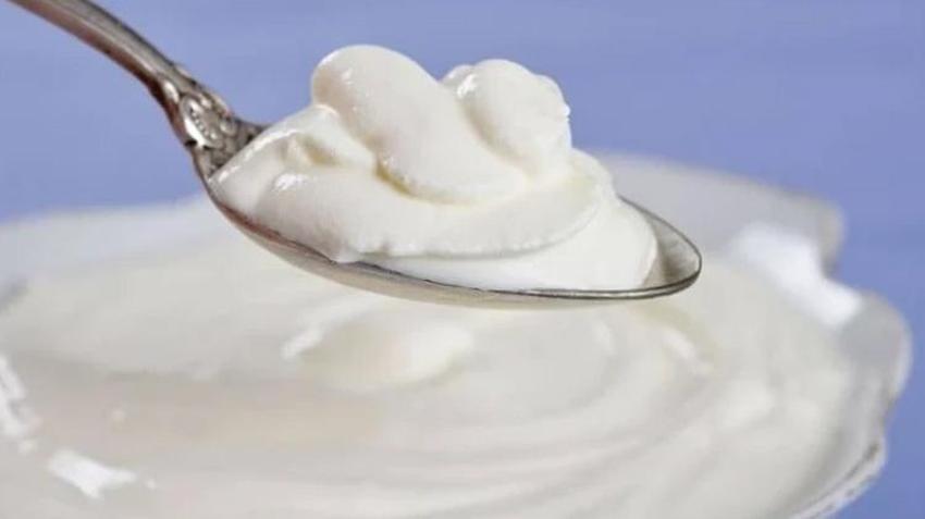 Yoğurt mu, kefir mi? Bağırsaklar için hangisi daha faydalı? Bilimin cevabı sizi şaşırtacak