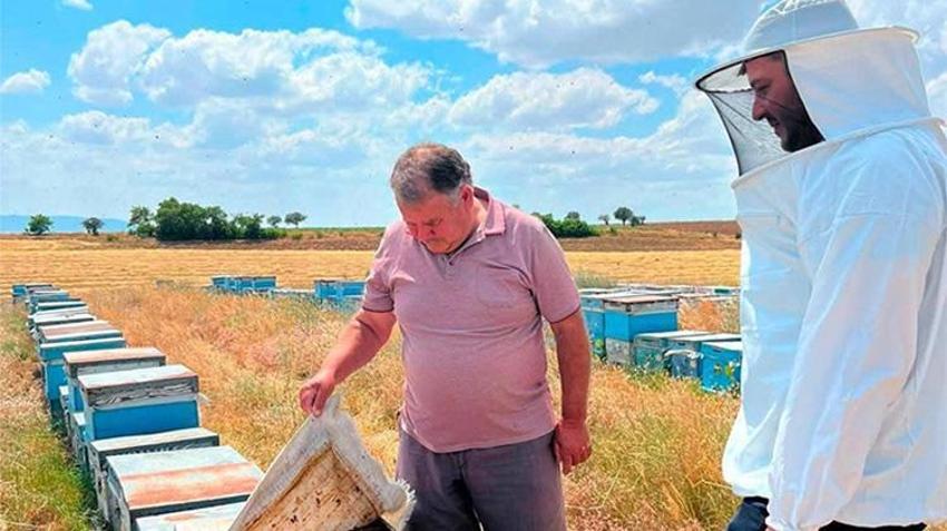 Arıcılara dev devlet desteği yolda! Tek tek tespit ediliyor: Ödemeleri kaçırmayın