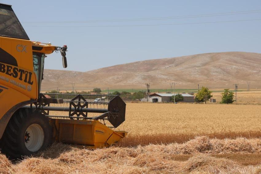 Konya Ovası'nda rekor hasat! Buğday ve arpada rekolte beklentiyi aştı