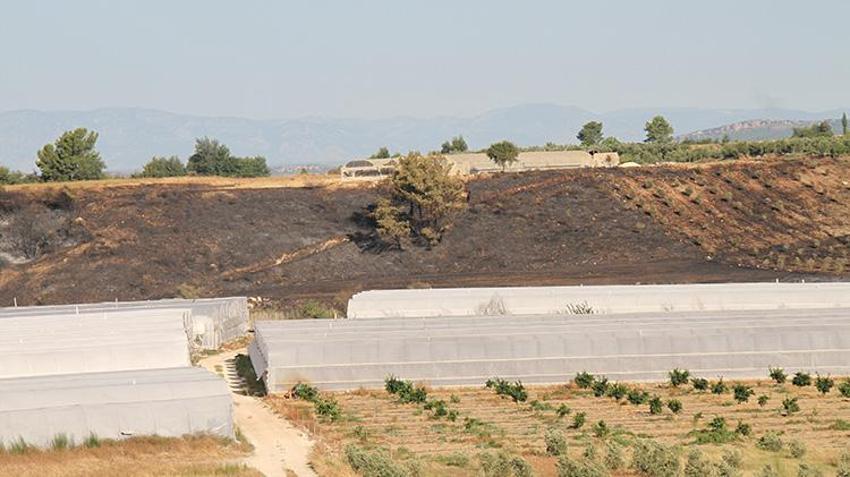 Antalya Serik'te çıkan yangın söndürüldü! Çok sayıda serada hasar oluştu