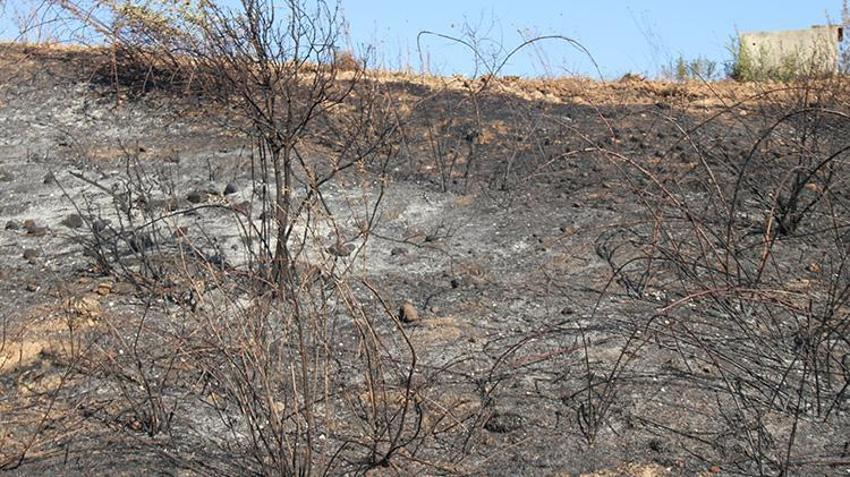 Antalya Serik'te çıkan yangın söndürüldü! Çok sayıda serada hasar oluştu
