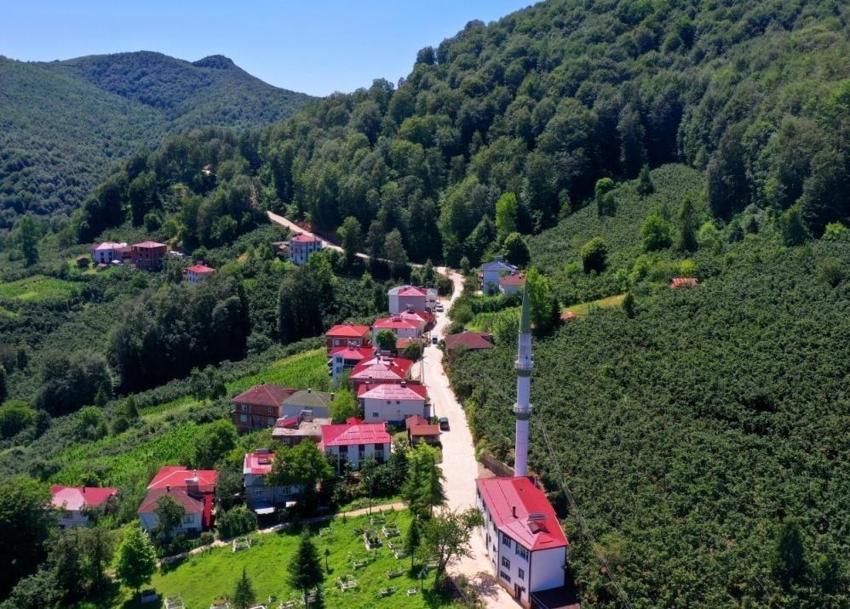 Ordu kırsalında görülmemiş çalışma: 2 kilometrede kendini gösterdi