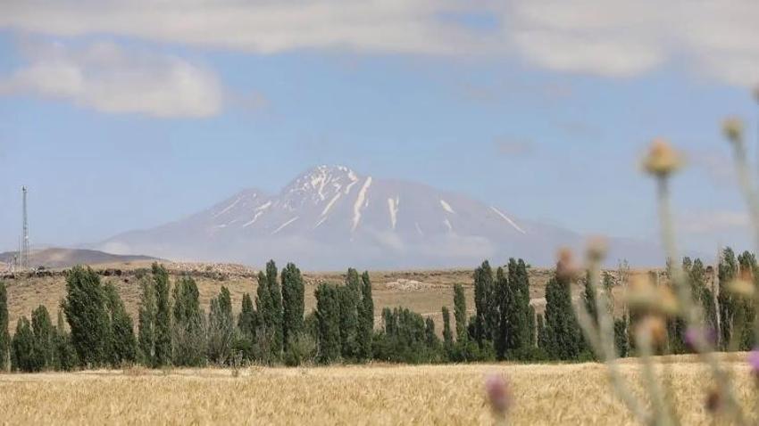 Sadece Kayseri'de üretimi var: 38 ayrı yemeği yapılıyor! Genetiği bozulmamış hasat başladı