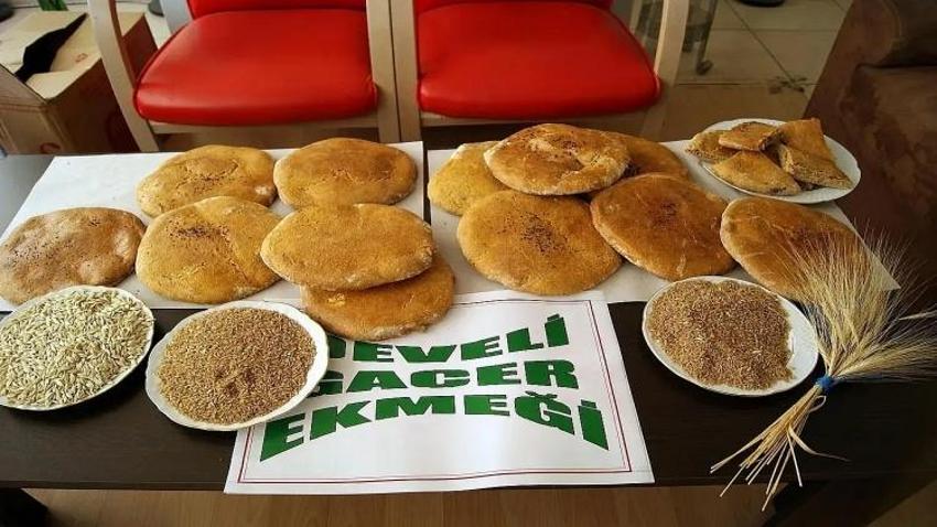 Sadece Kayseri'de üretimi var: 38 ayrı yemeği yapılıyor! Genetiği bozulmamış hasat başladı